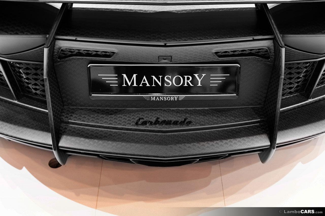 Aventador mansory carbonado 16