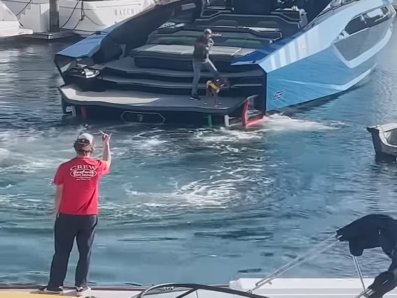 Viral yacht marina altercation